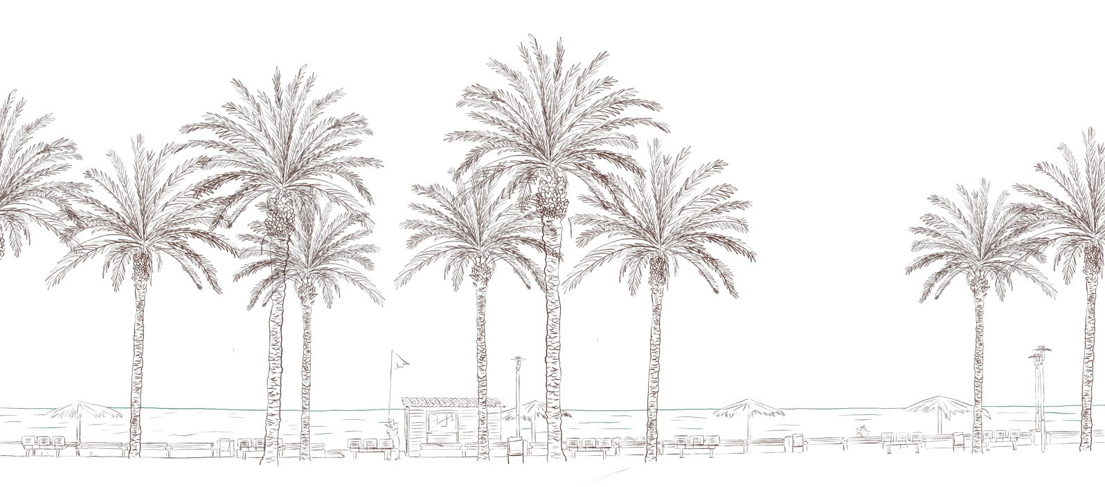 Torre del Mar beach palms